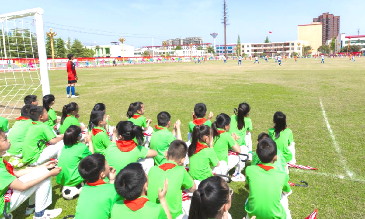 临颍县县长杯足球赛小学组比赛,临颍县青少年足球联赛
