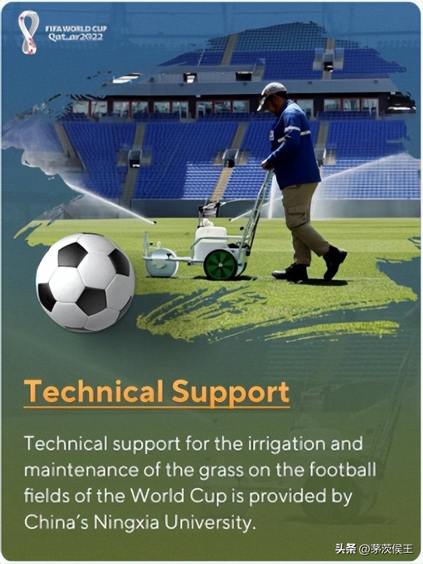 中国元素闪耀卡塔尔说明了什么,中国元素闪耀欧洲杯