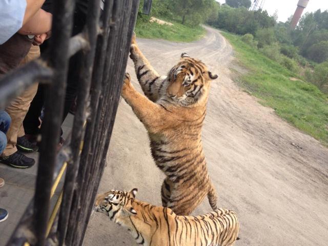 七副对仗工整的极品对联,3副不出名却文采飞扬的极品对联
