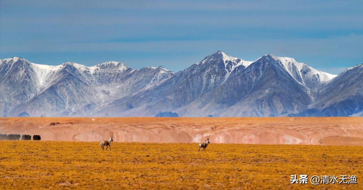 上海有到西藏的火车吗,上海有一趟火车直达西藏