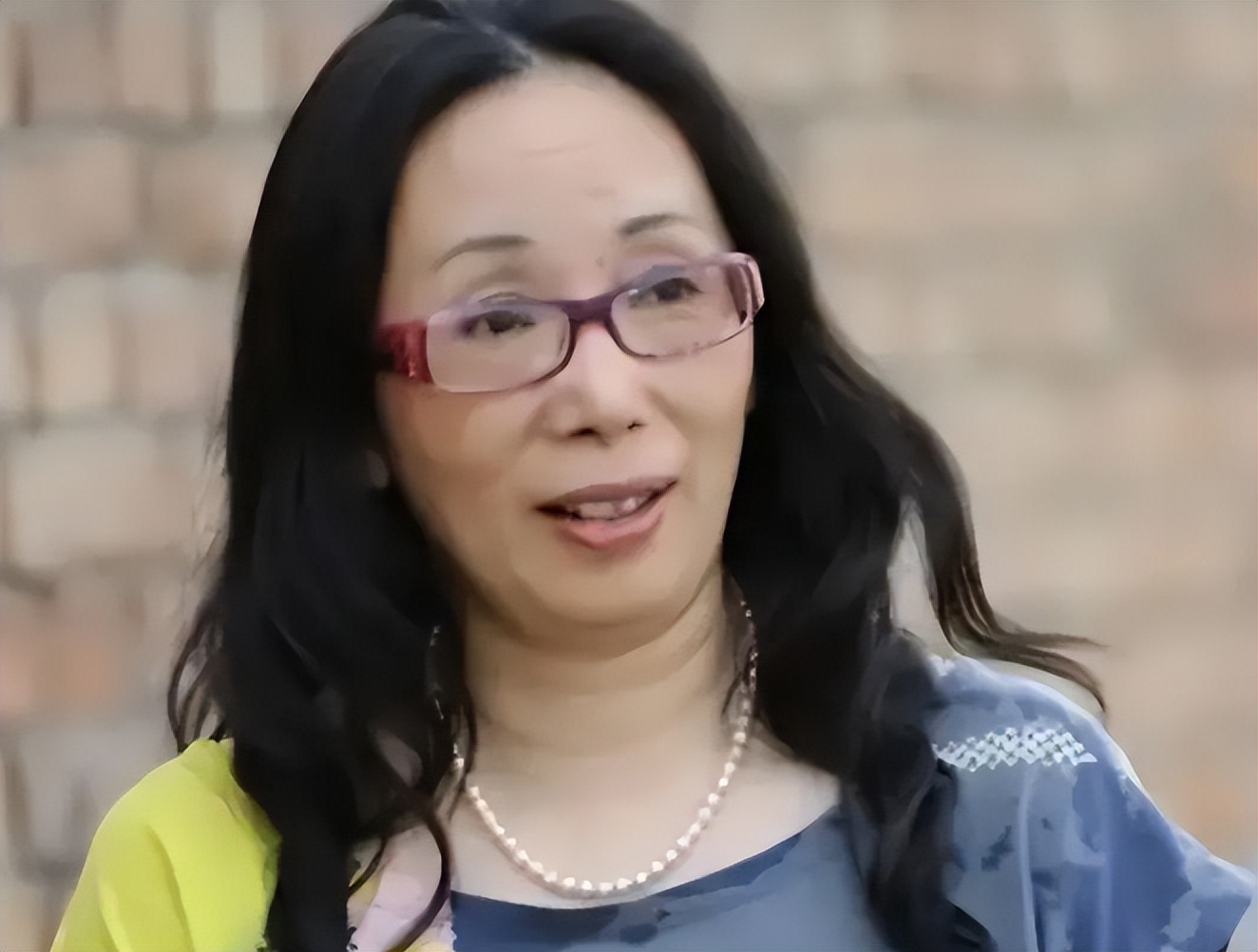 黑龙江首富戴秀丽和她的丈夫,东北女首富戴秀丽