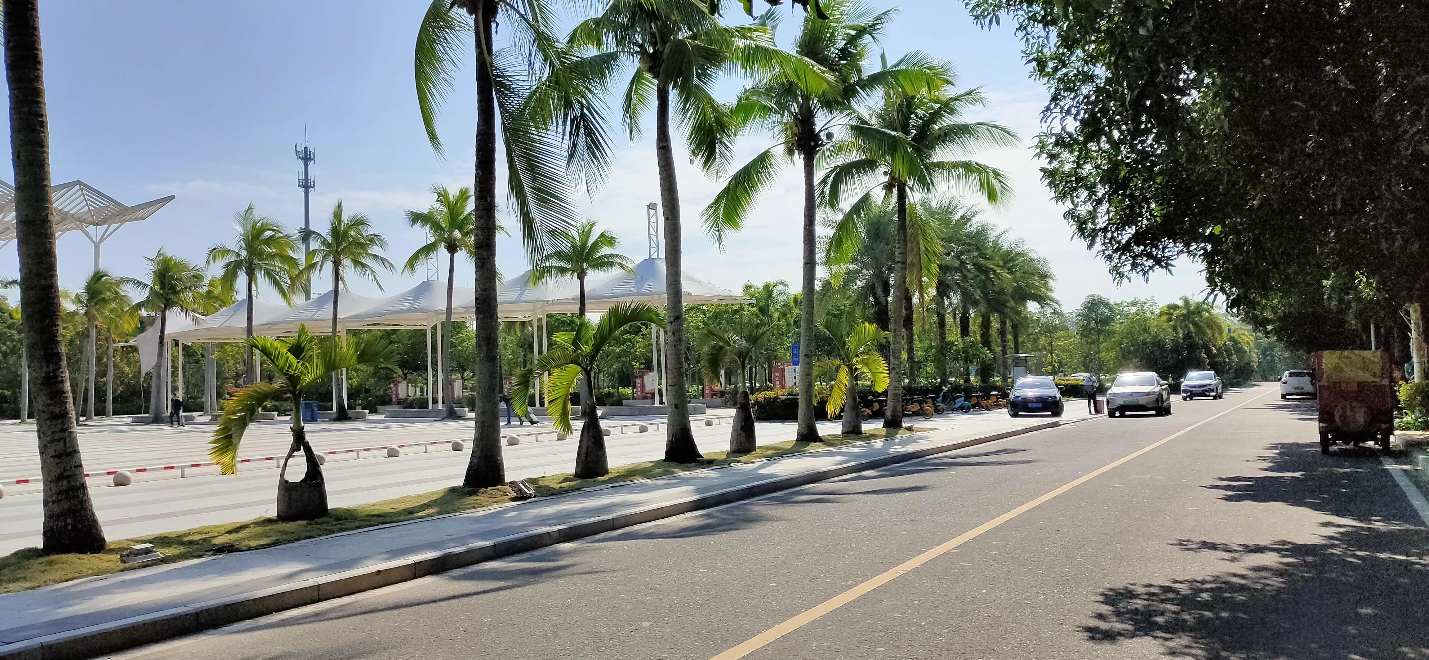 职场小白如何开始创业,职场瓶颈期如何转行创业