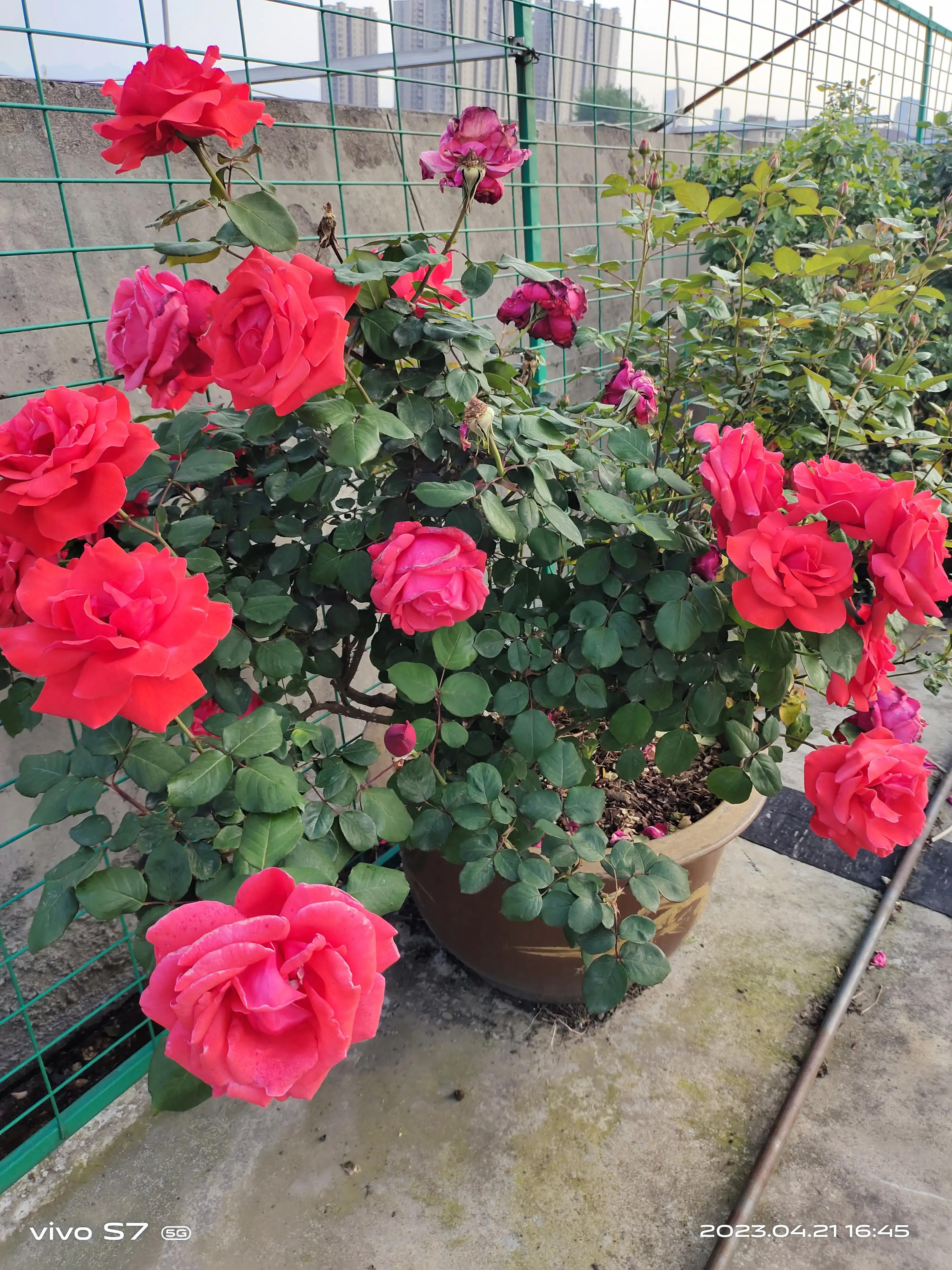 普通人装修如何省钱,普通人怎么省钱生活