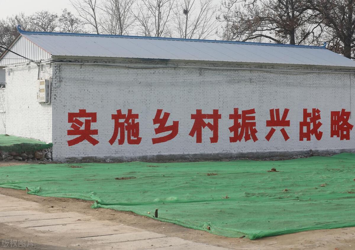 中央乡村建设实施方案全文,农村将启动十大工程