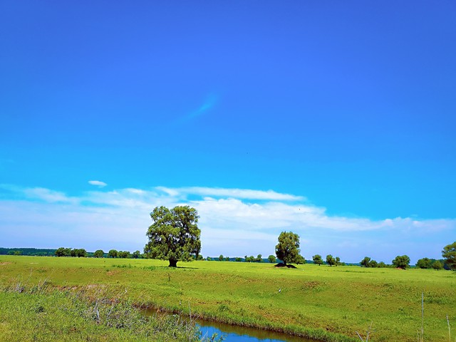 新款哈弗h8的优点与缺点,2017款哈弗h8详解