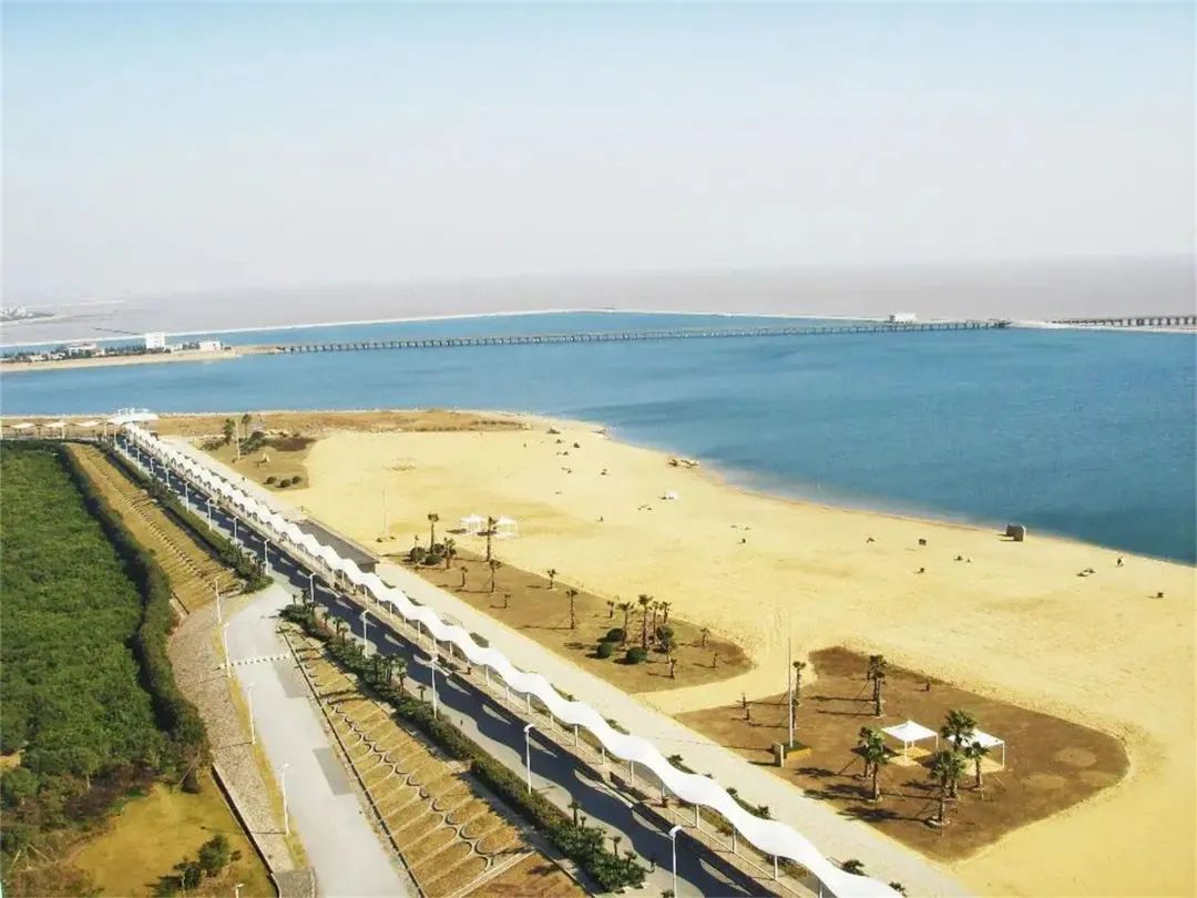 上海看海10大最美海滩浦东,上海海滩景点排名