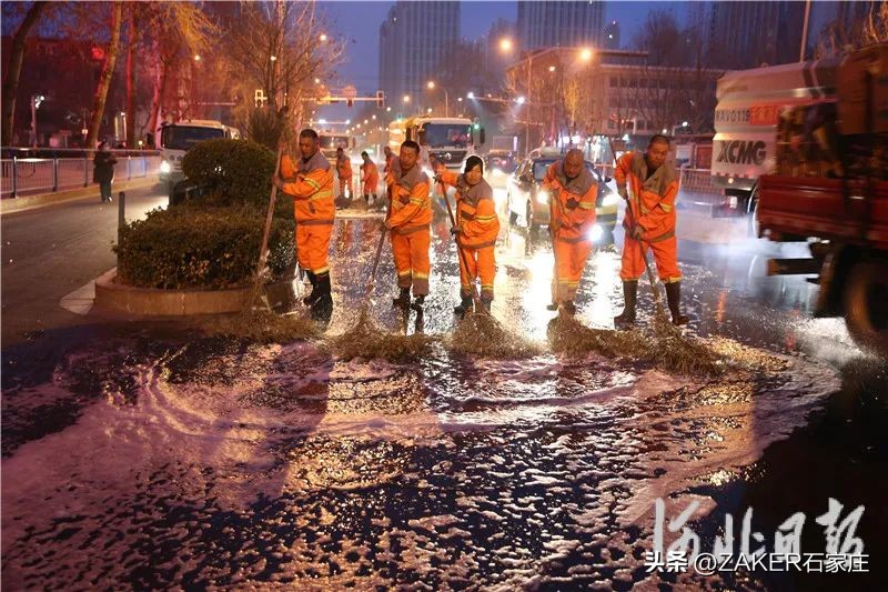 早新闻3.8|今天，所有女性免费！满城花开！石家庄市公园春季“赏花地图”来啦；石家庄启动春季“洁城行动”