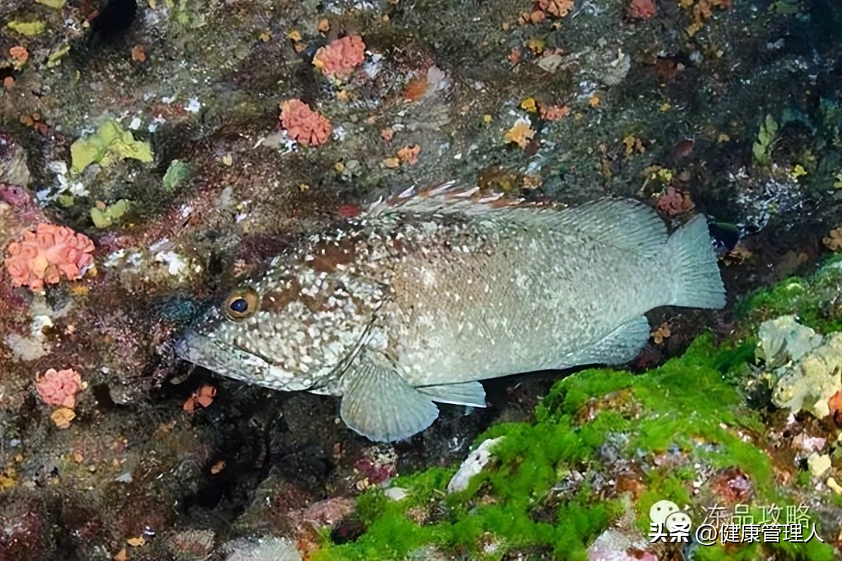 美容护肤食疗方案,美容护肤养生介绍