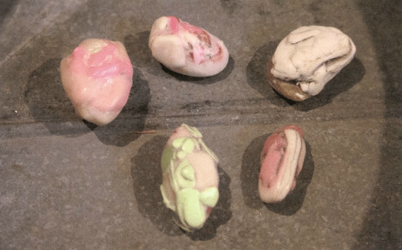 纽约拾荒中国大妈,纽约博物馆中国老太太