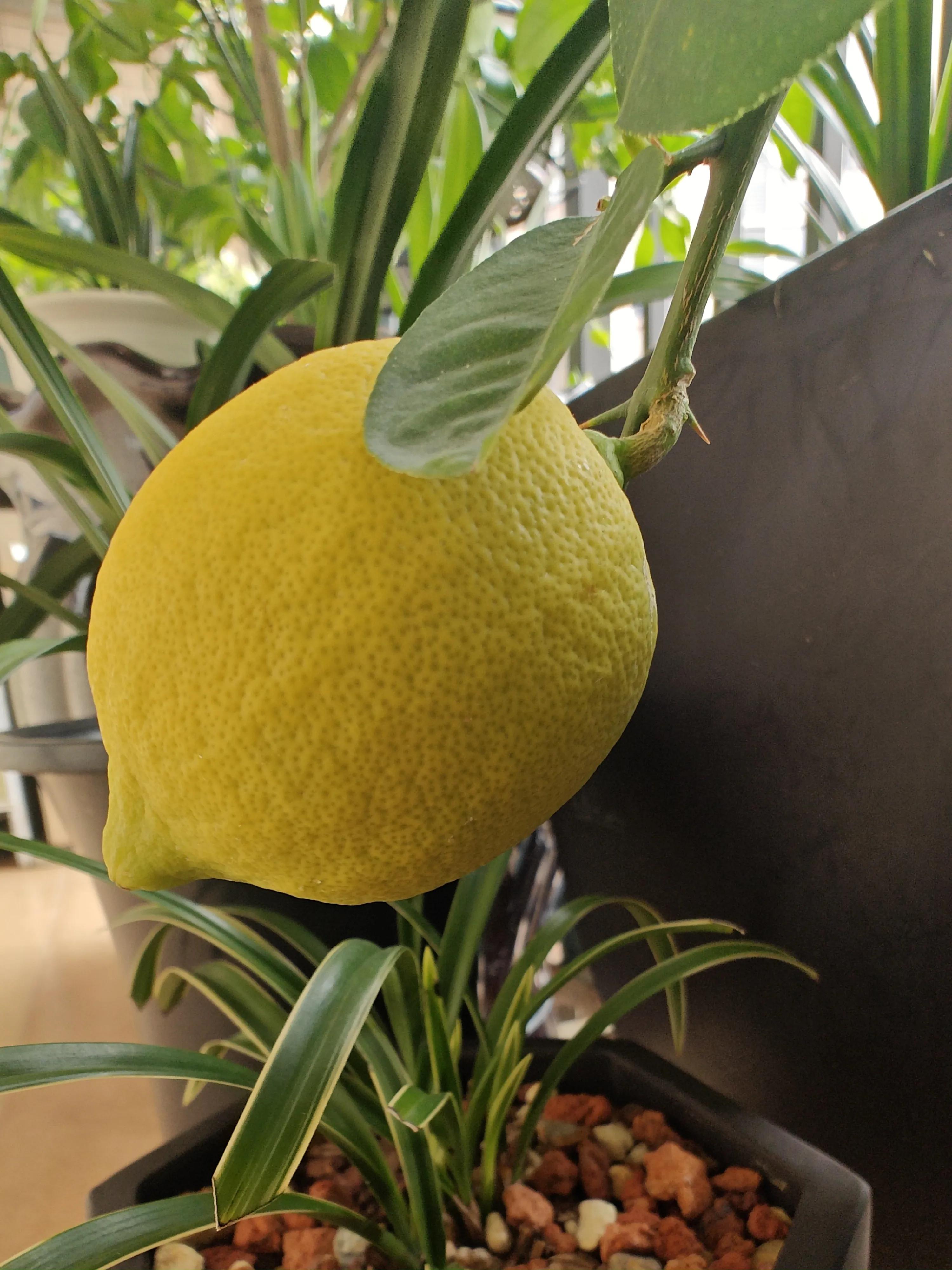 记事本日记图片,记事本日记本