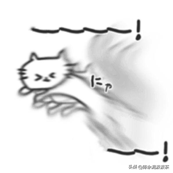 可爱的猫咪头像和小狗头像,团子头像可爱微信头像