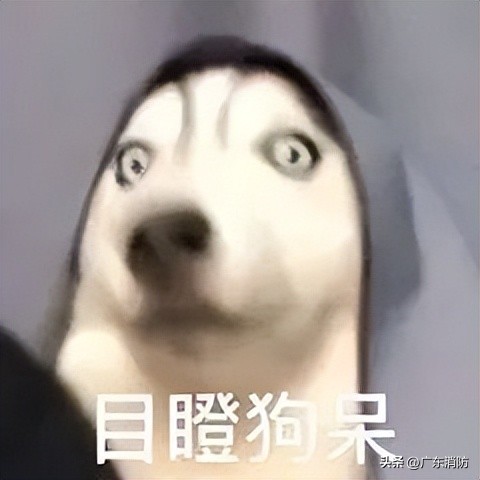 情人节17款走心礼物,情人节7大令人窒息的礼物