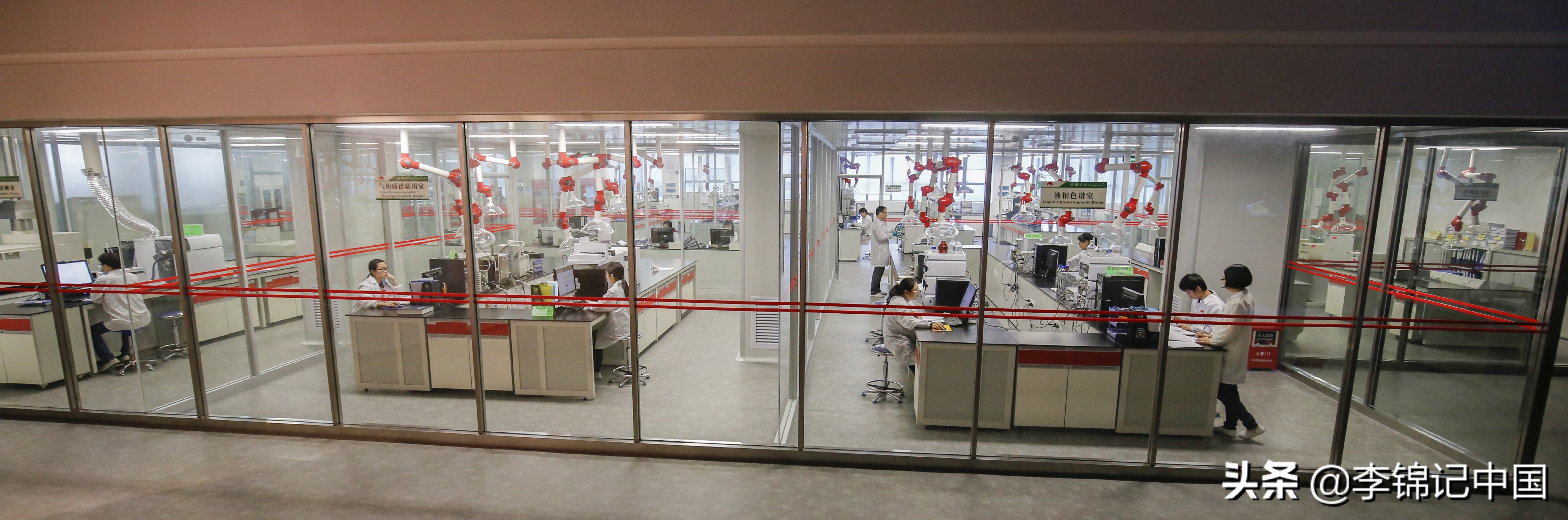 “三同”品质,由“李”守护