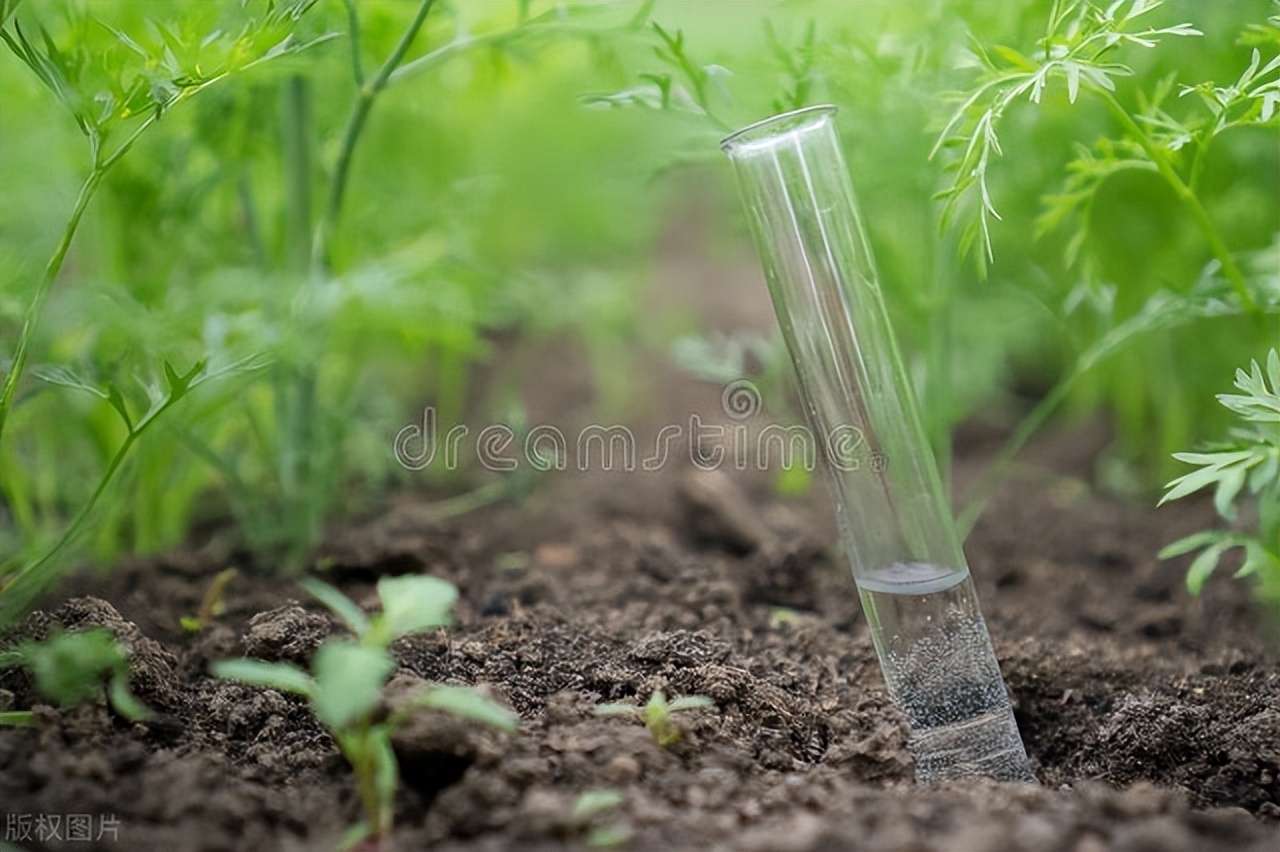 尿素期货故事,尿素上涨原因有哪些