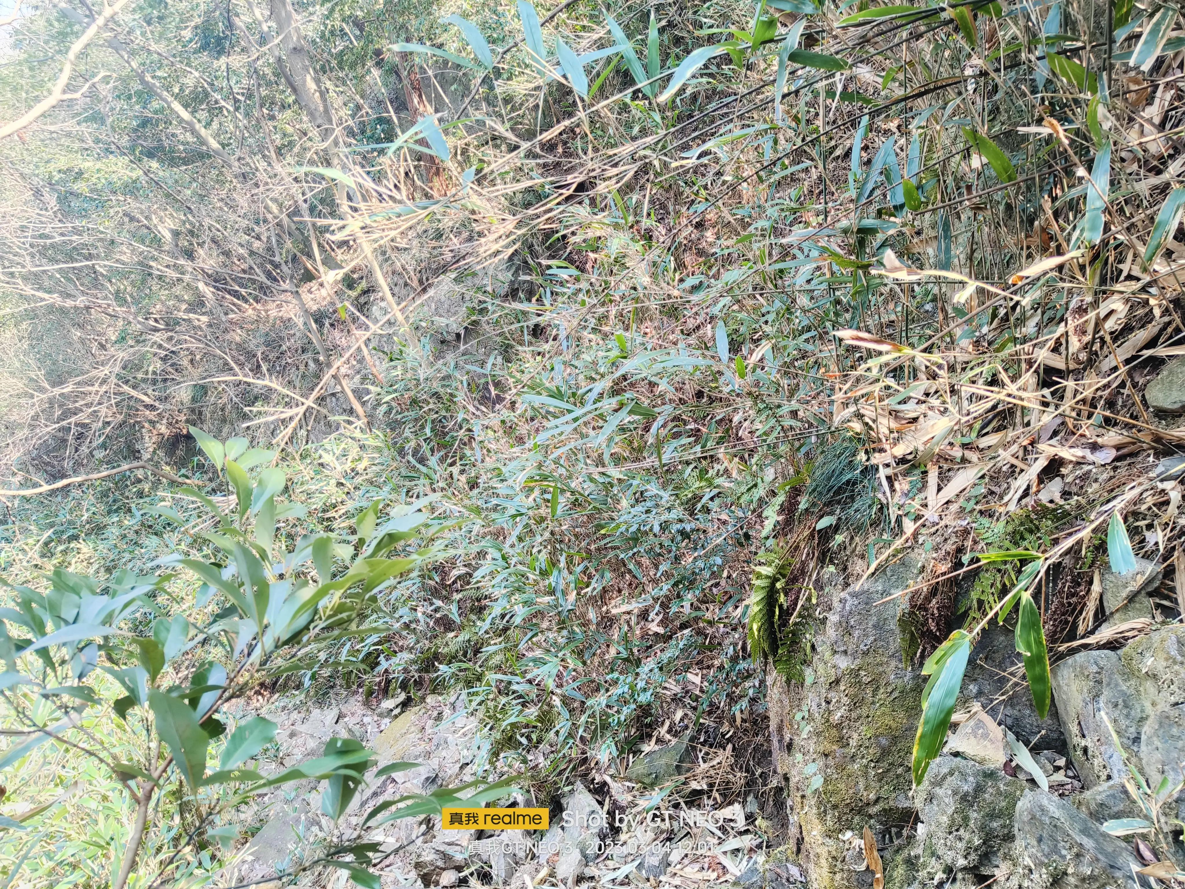 宁波五龙潭攻略,宁波五龙潭湖