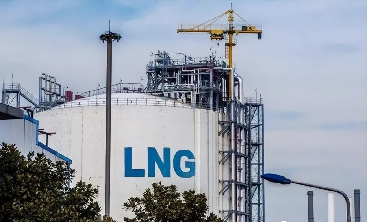 多行不义必自毙2009年,多行不义必自毙事件