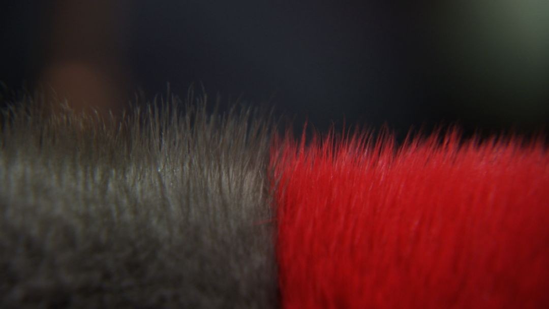 小伙创业年亏40万后逆袭,小伙创业亏损600万