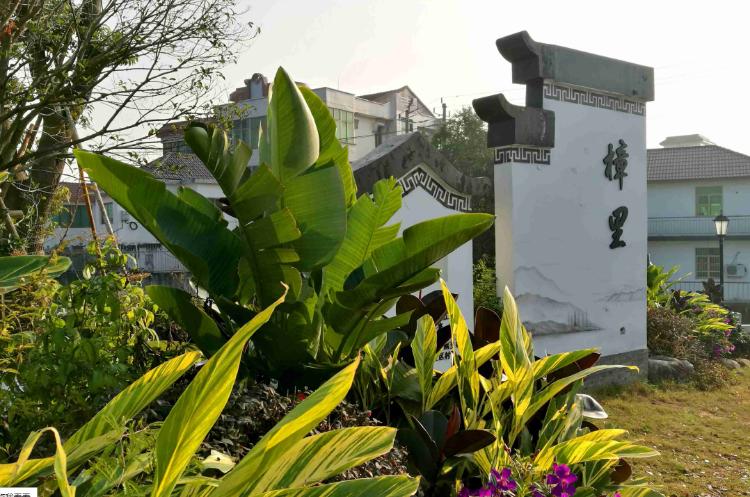 温州秋天的景,温州的秋天