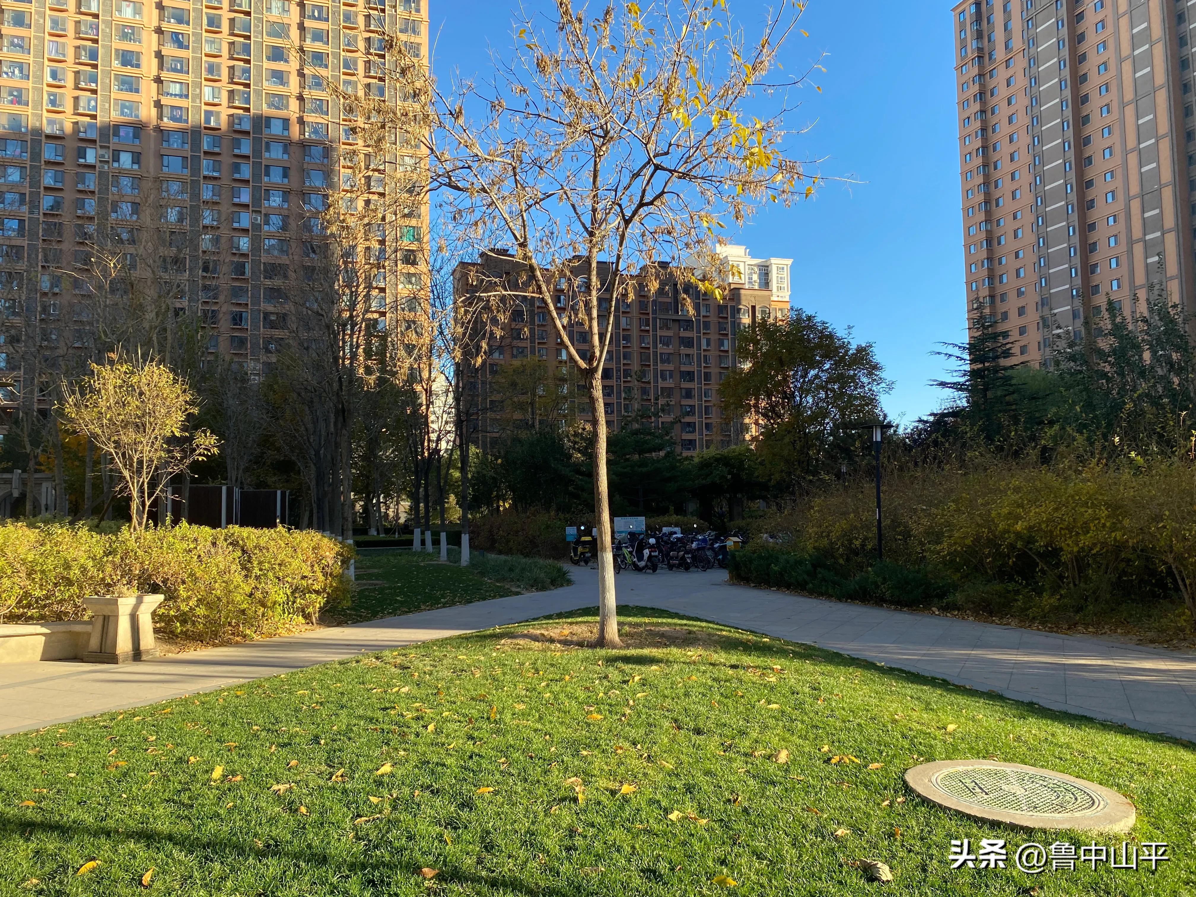 回顾2022年疫情下，出门去趟北京不易，关键时刻大姐帮助