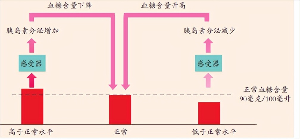科学知识大全小学生必背,科学知识大全全集