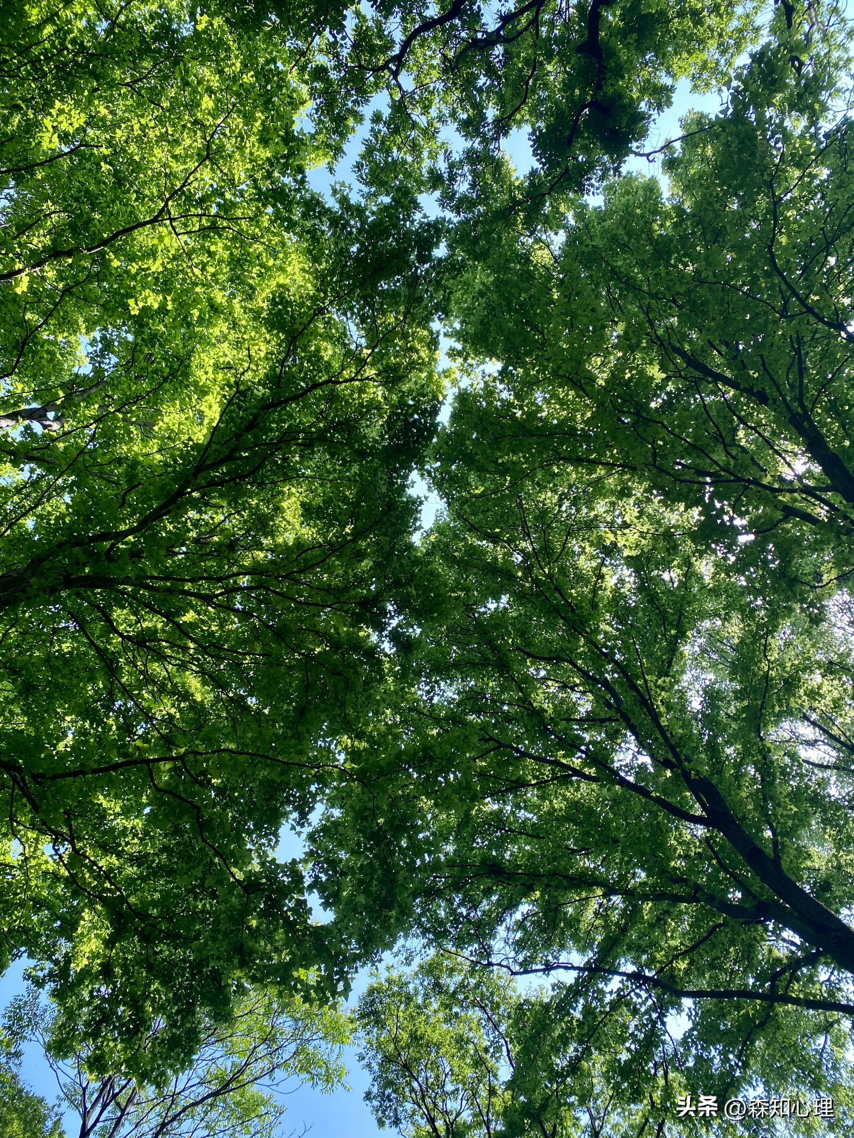 找到适合自己的职业重要性,找到最适合自己的职业是多么幸运