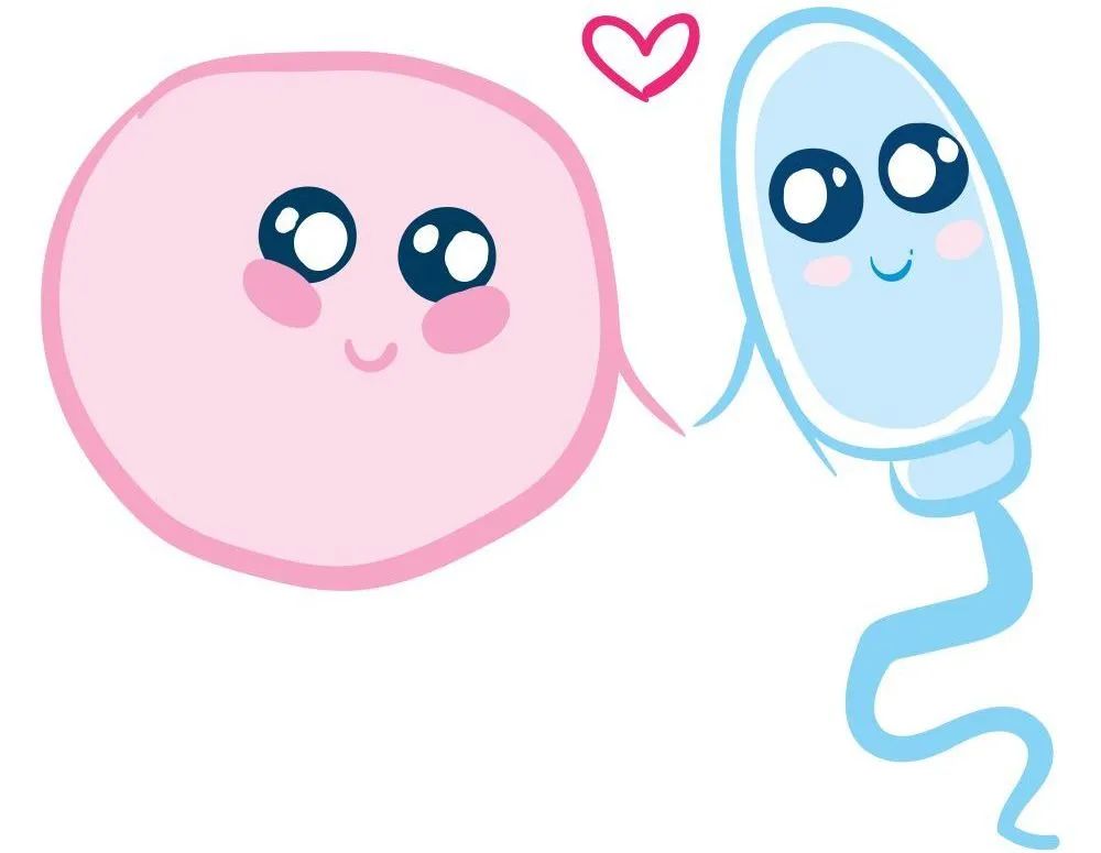 「疾病科普」不孕和流产的男方因素—精子碎片率异常的治疗和预防