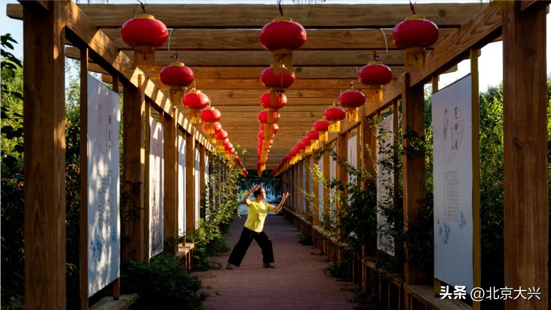 高颜值的大兴,拼的是实力!