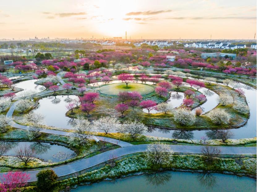 上海新评定五家a级景区,上海五星级旅游景点排名