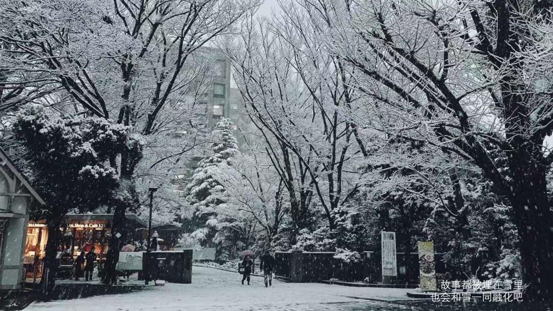 关于情人节的花式陷阱|冷段子2428去年今日2070