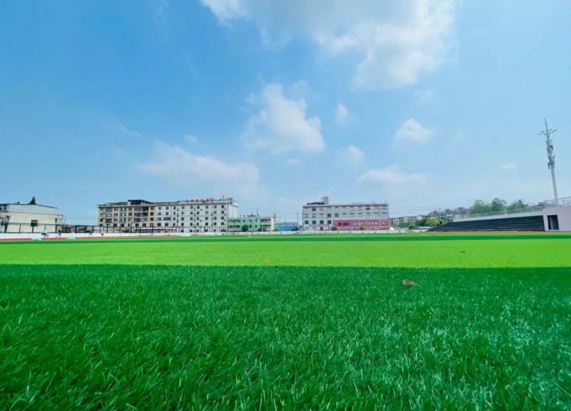 第五实验幼儿园最新视频,上师大附属第五实验幼儿园小学