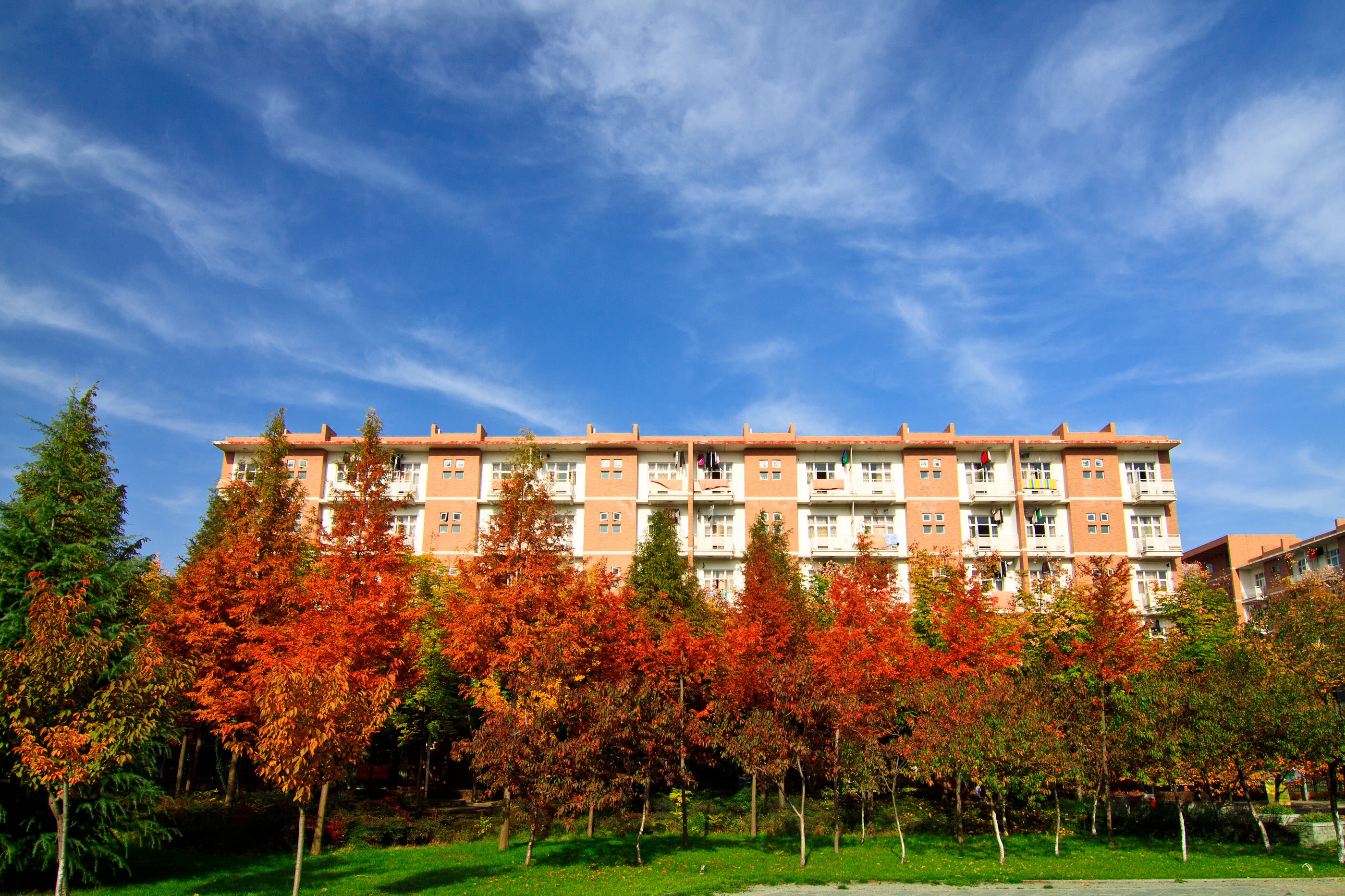 西安电子科技大学：“西军电”名声显赫，2021年复试线分析