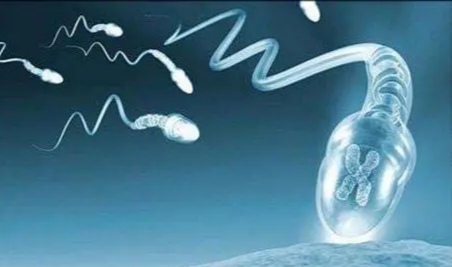 重度少弱精子症,死精子症中医怎么治疗