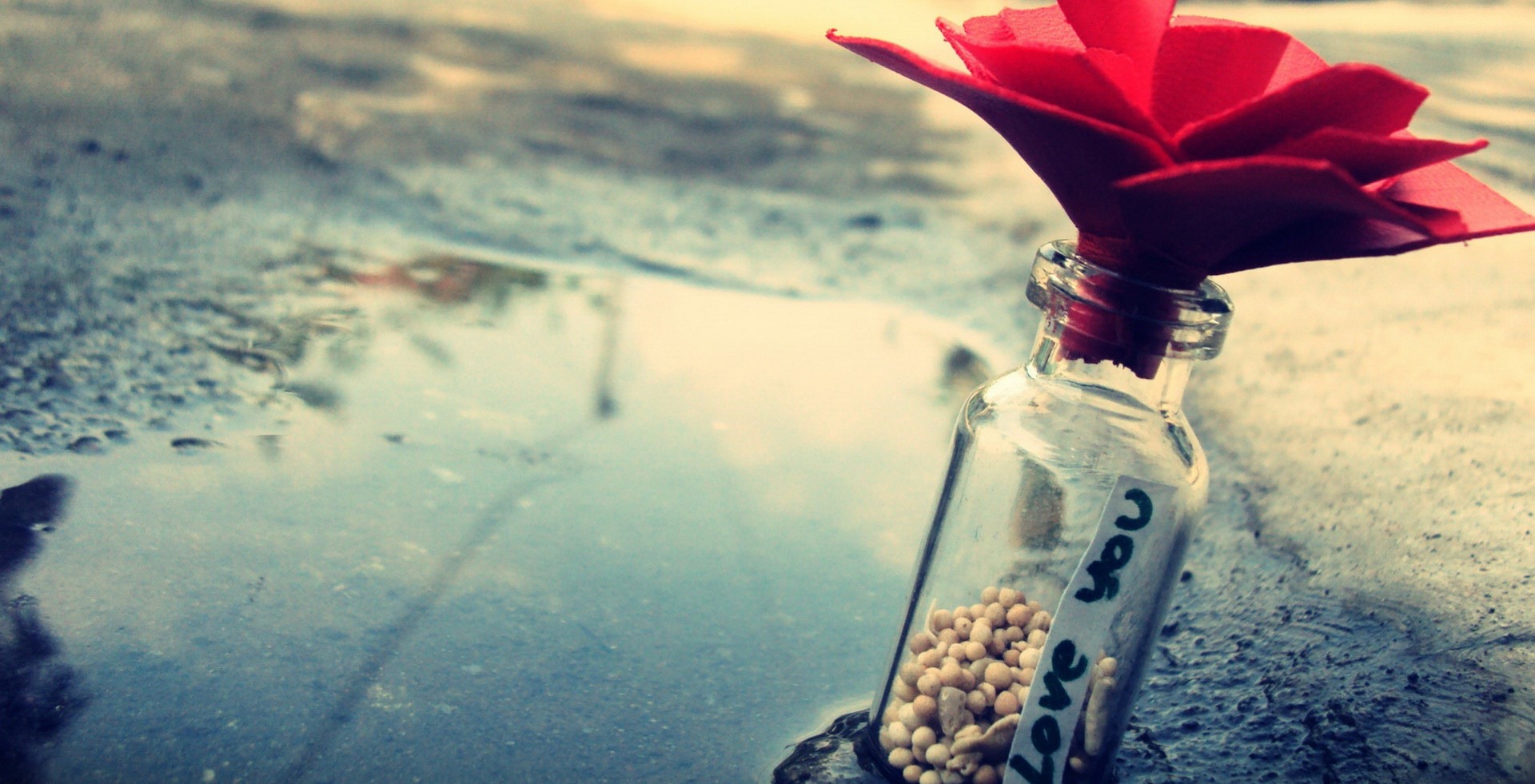 爱情路上风雨多原唱,爱情保卫战完整版