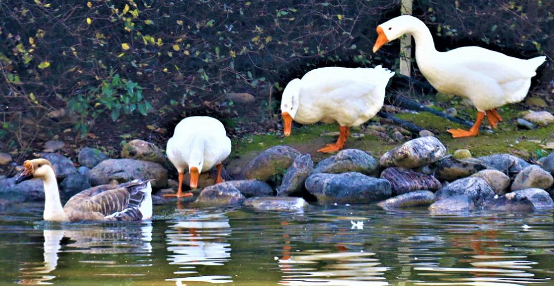 骑行打卡景点,湿地骑行观风景