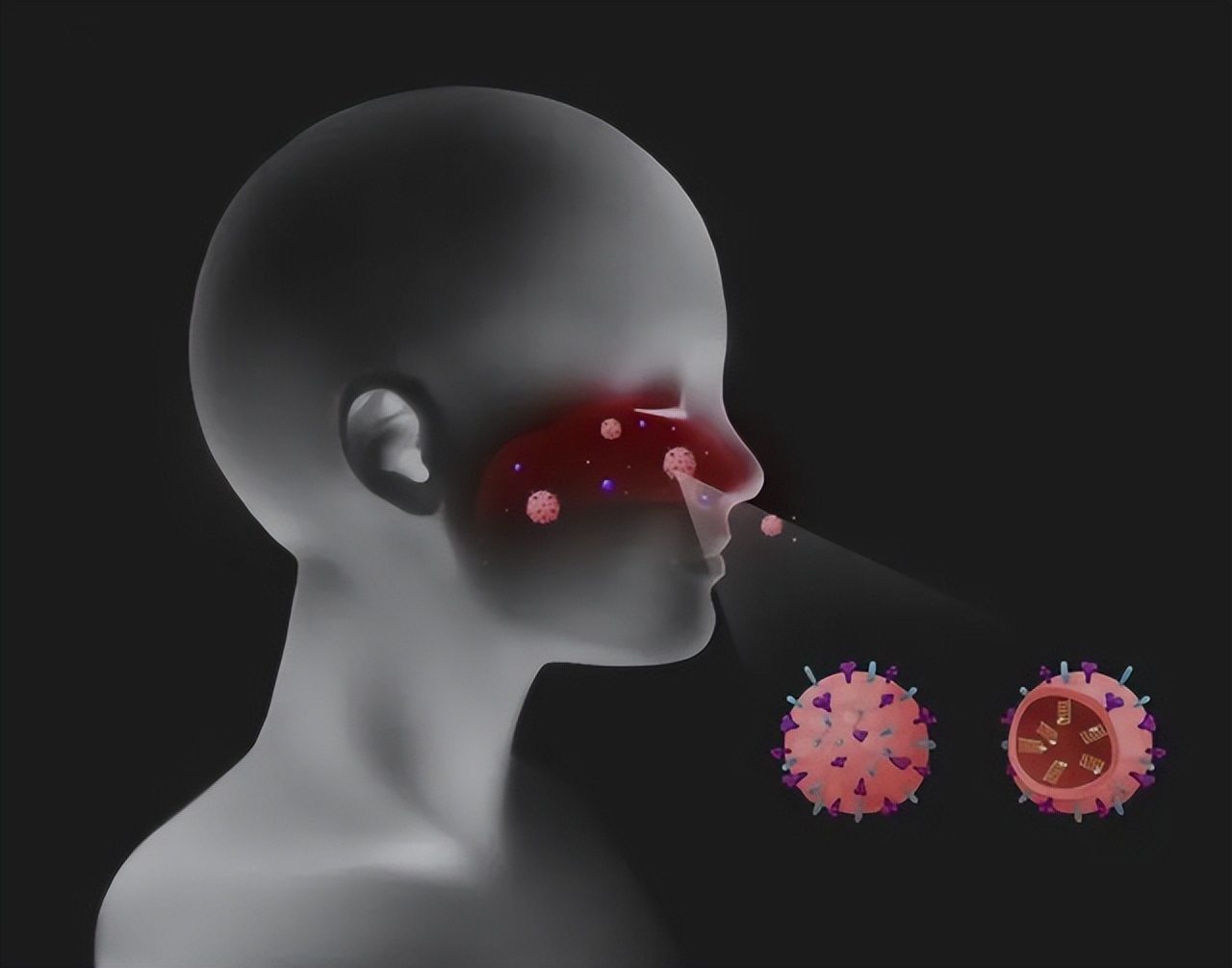 一瓶甲硝唑,几块钱的甲硝唑能有三种作用