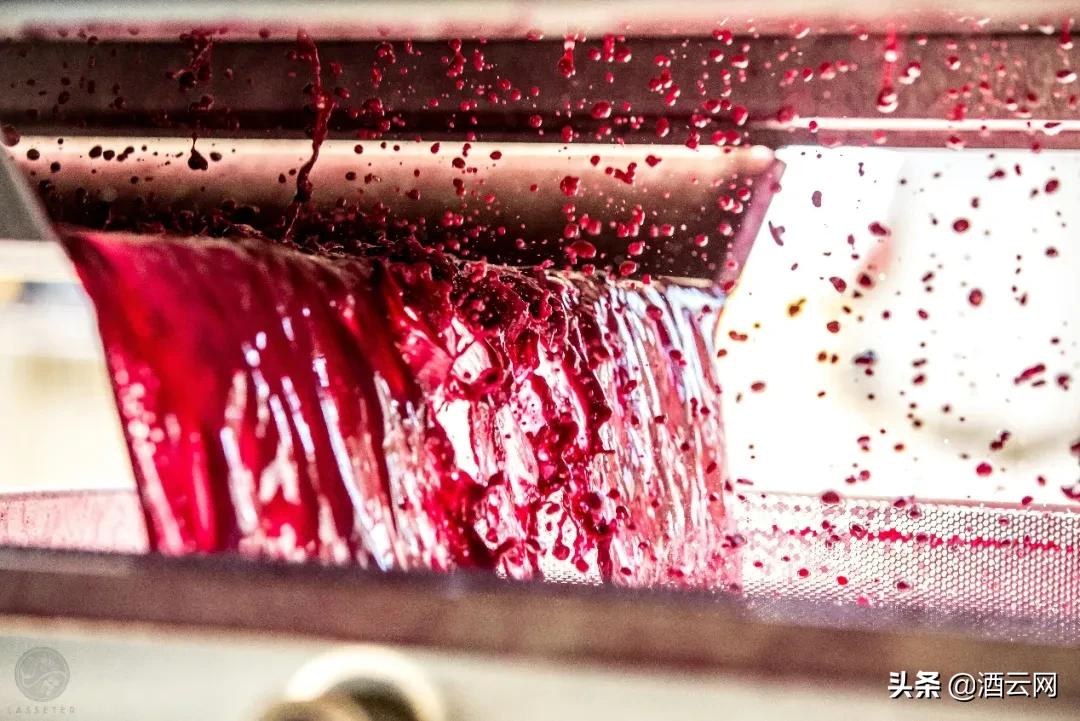 葡萄酒如何搭配日本料理,如何为你的佳肴搭配合适的葡萄酒