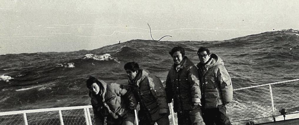 暗影演员介绍,暗影所有扮演者