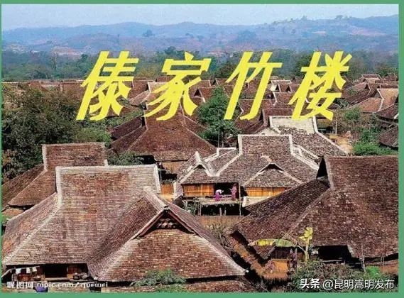 花博会云南,花博会来了