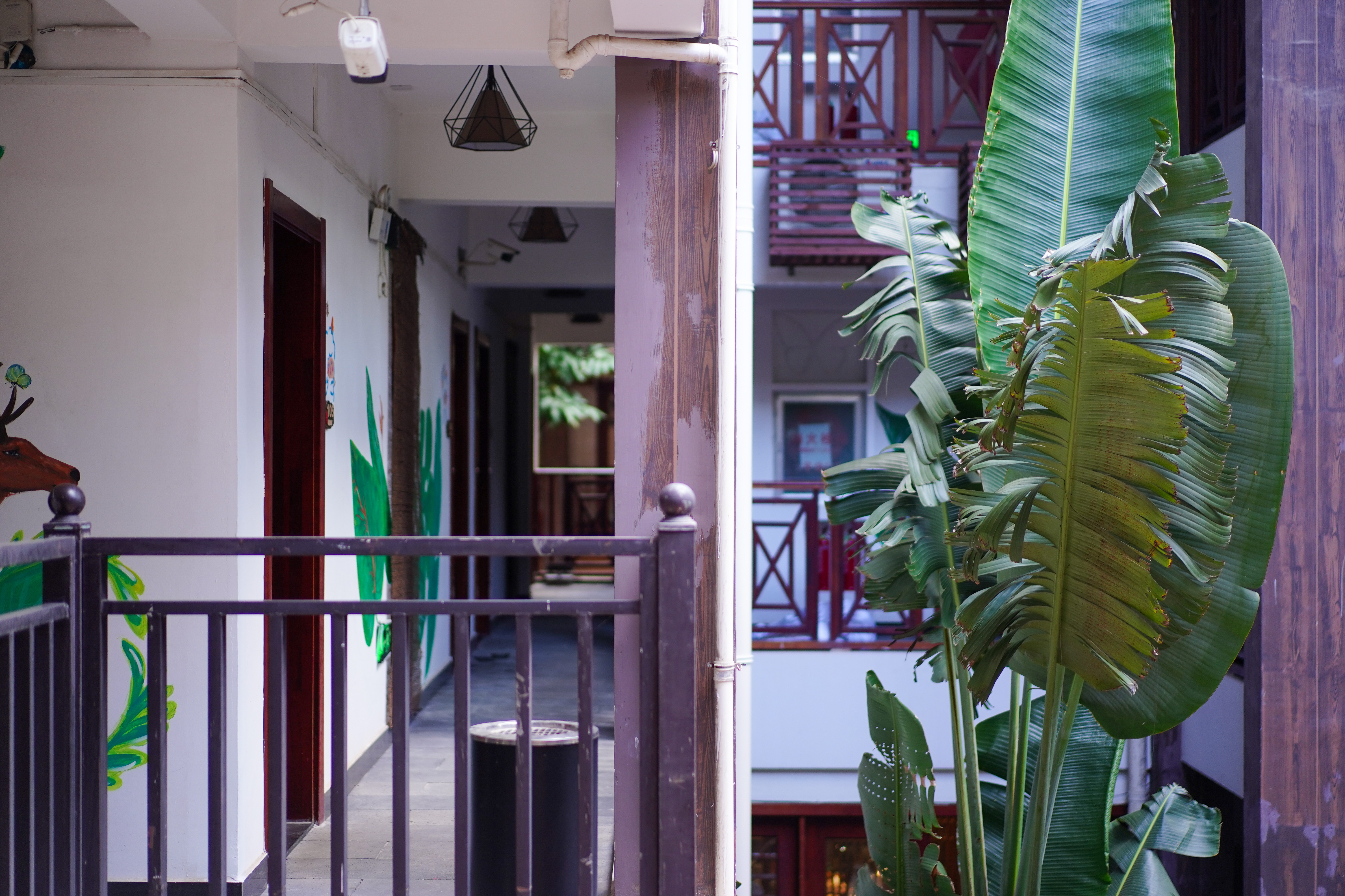 冬天西双版纳适合旅游吗,西双版纳最宜居