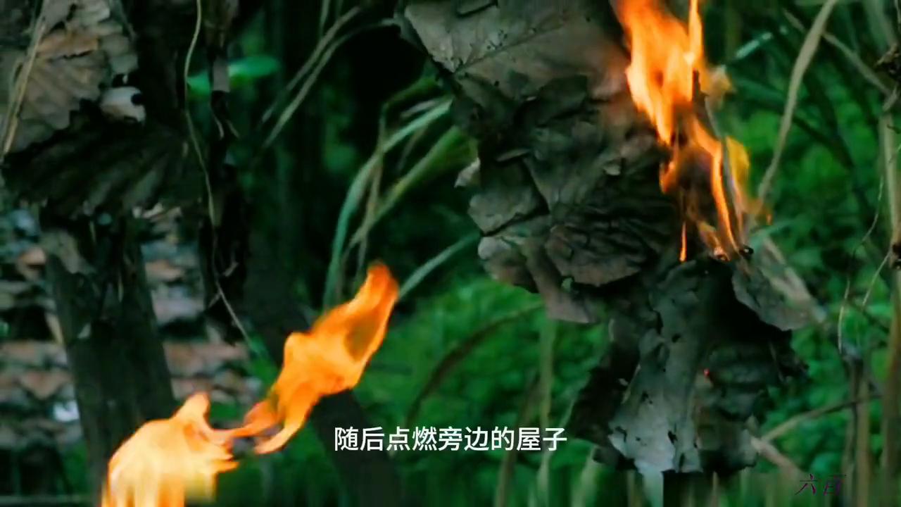 越狱丛林记完整版,越狱之后电影完整版