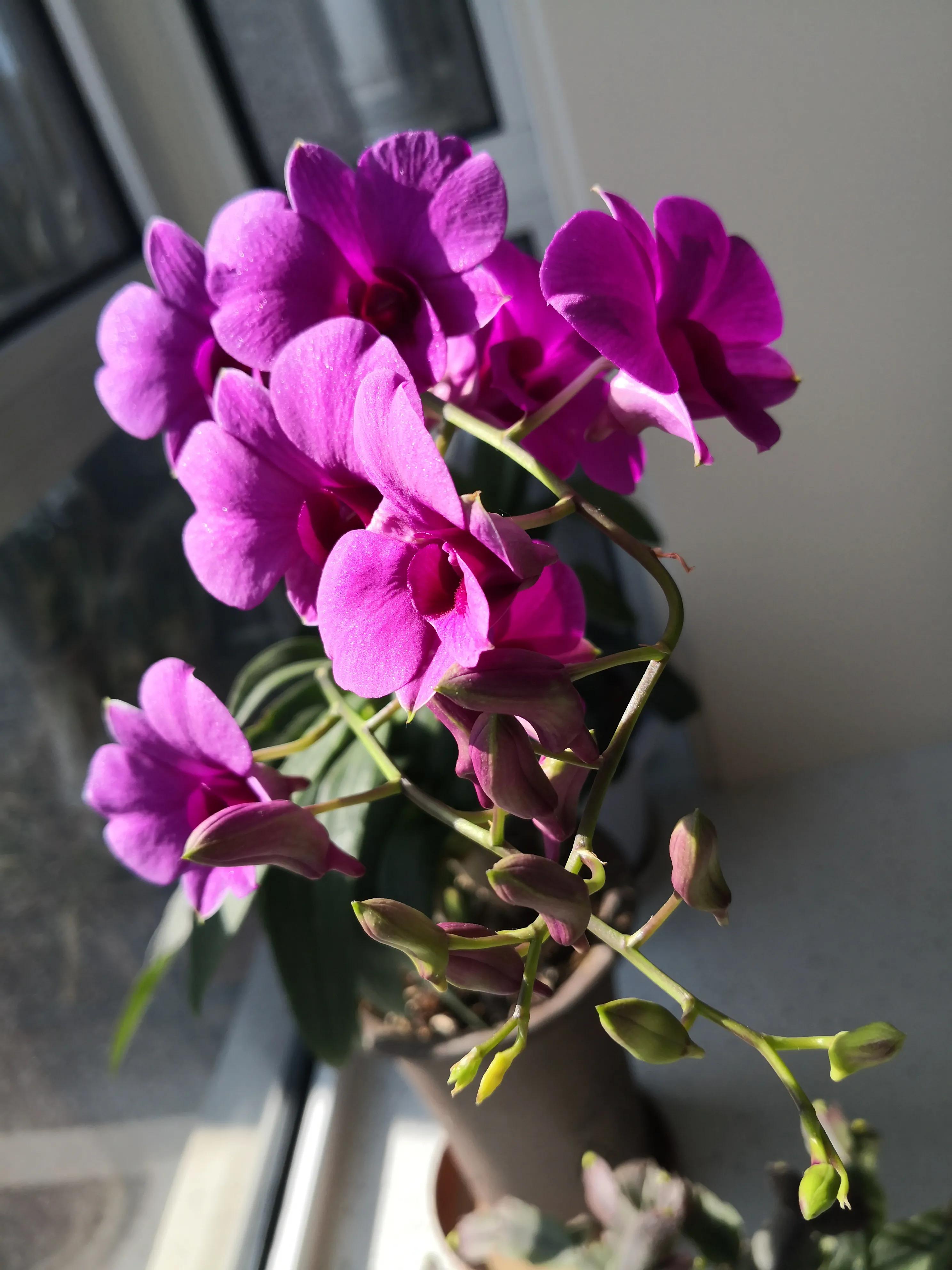 中国足球内幕-21