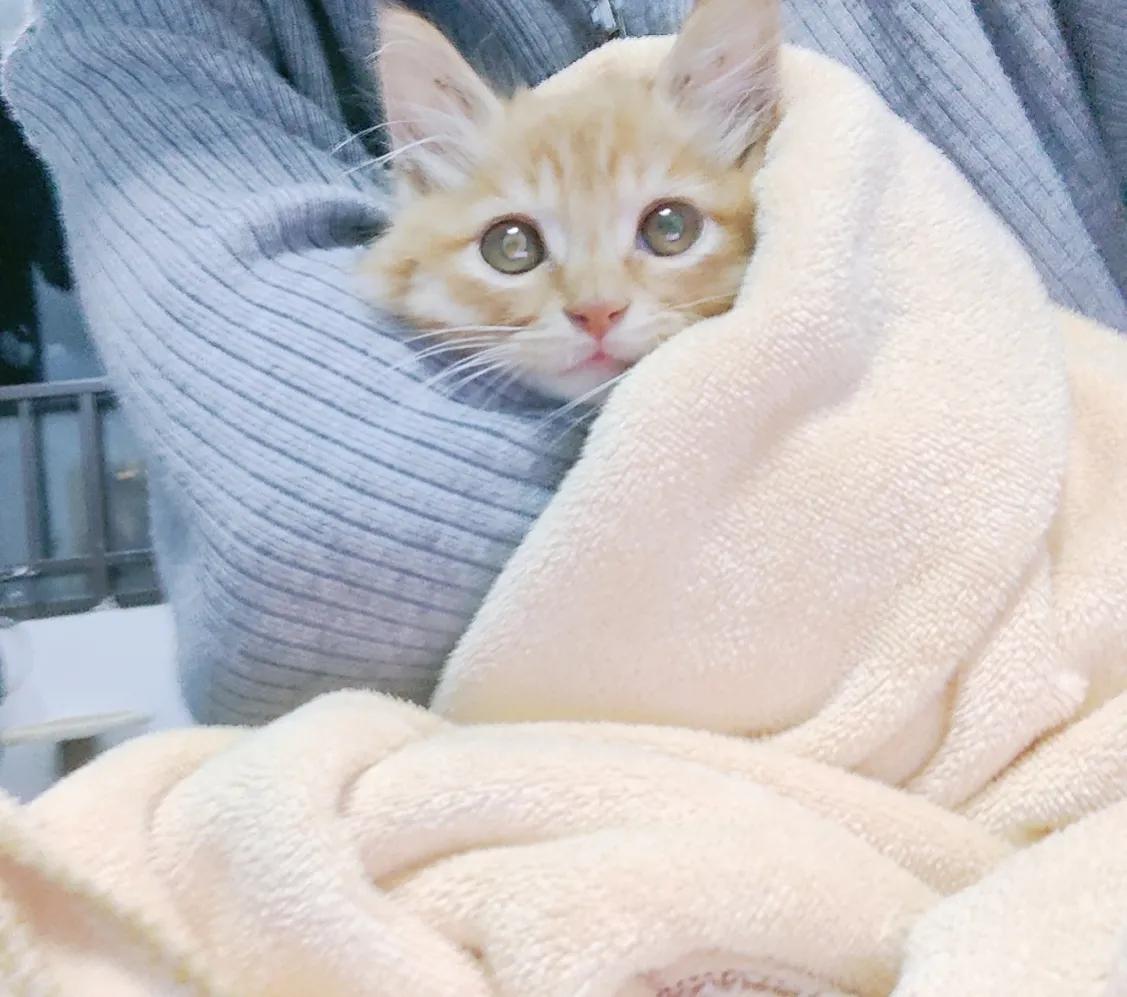 23岁该不该买车,23岁了该不该去相亲