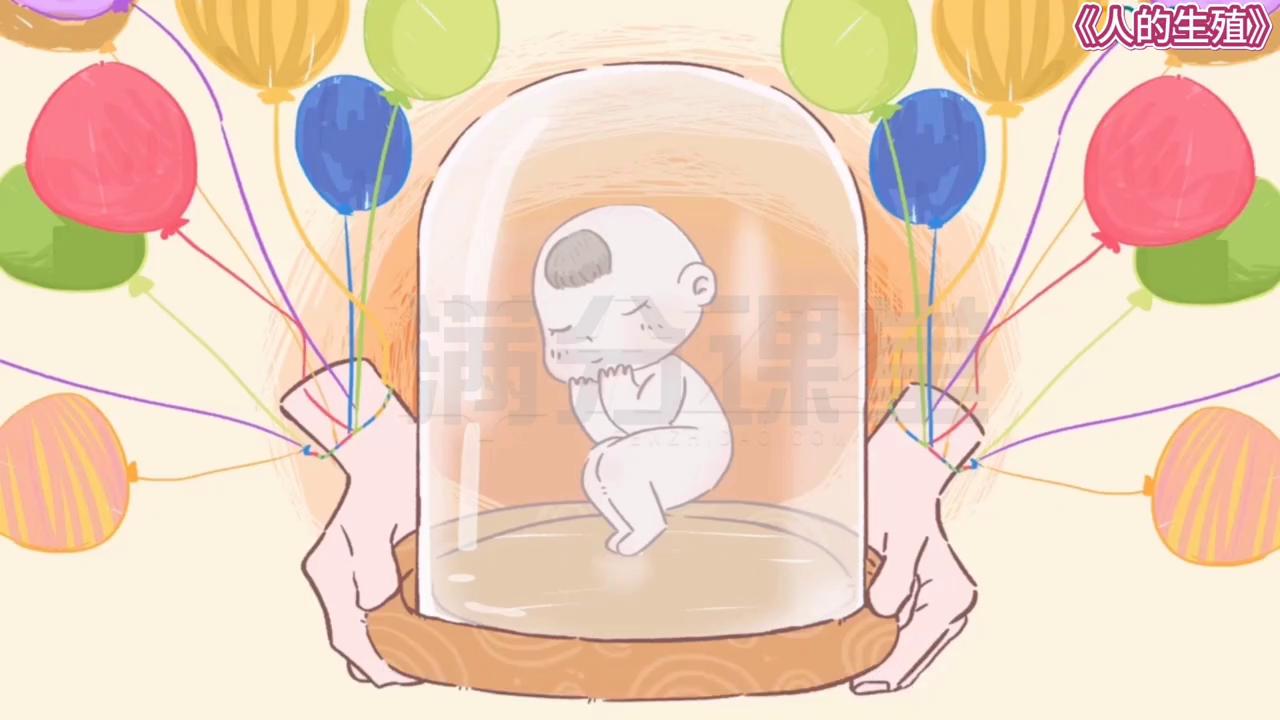 北师大版八年级上册生物人的繁殖,八年级上册生物北大