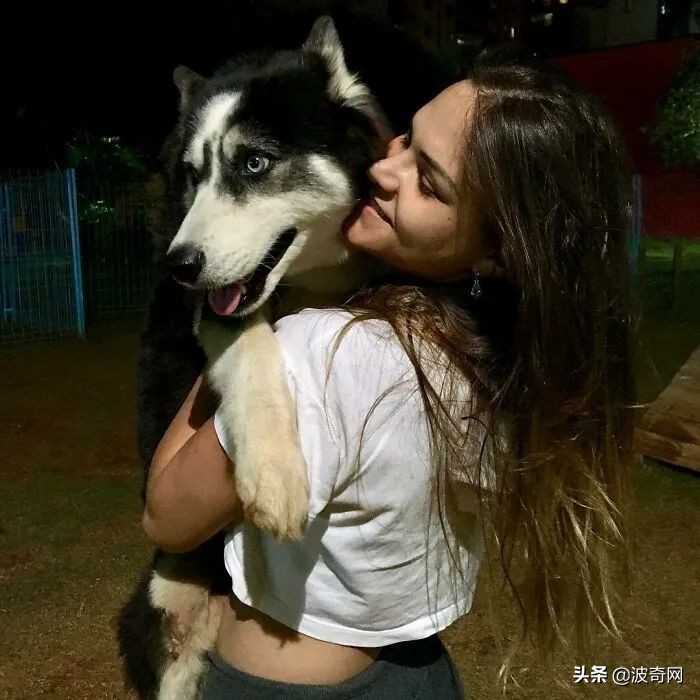 黑心狗厂,黑心宠物繁殖工厂