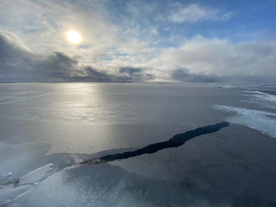 未解之谜深海巨蟒多大,海洋巨蟒真实图片大全