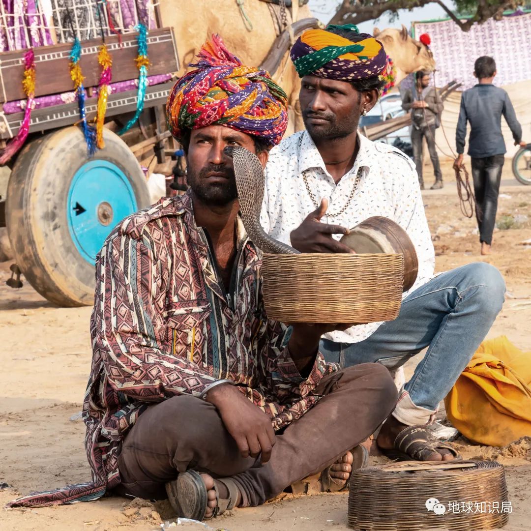 印度的宗教迷信有多严重,印度的迷惑行为