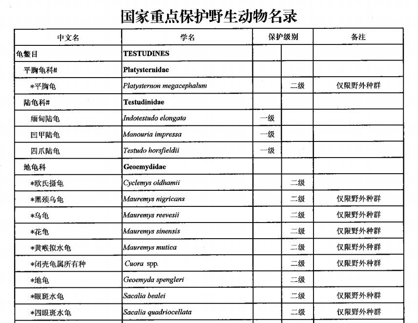 山东的陈先生喜欢养乌龟，一不留神就养出一只长绿毛的乌龟