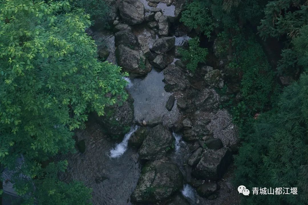 青城山森林秘境,青城山风光好去处