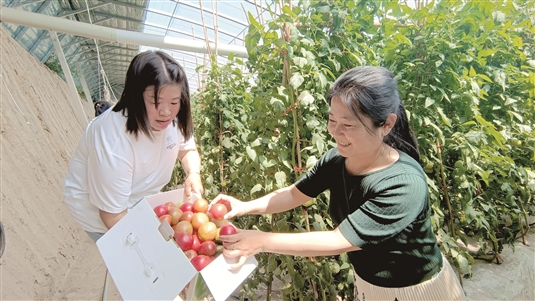 村企联动筑巢引凤,村企抱团携手闯出共富新路