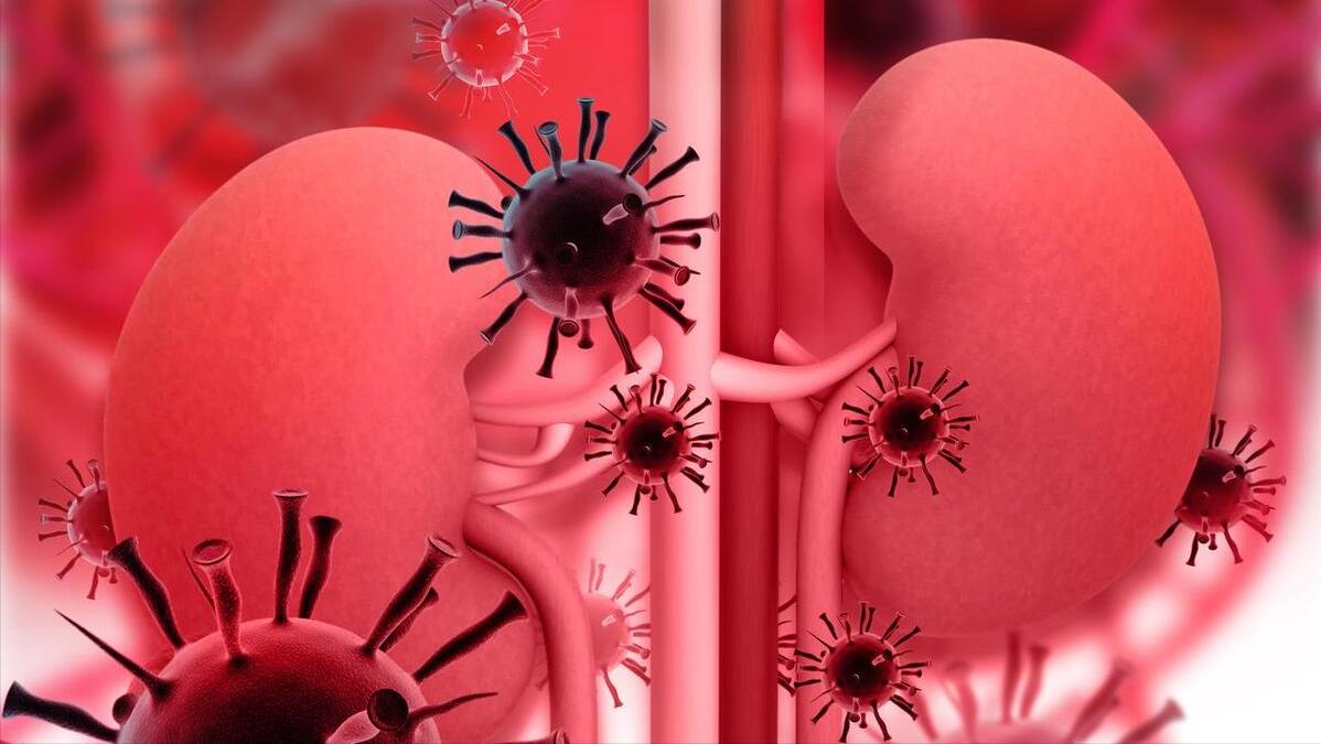 输尿管狭窄什么引起的,导致输尿管狭窄的原因有哪些